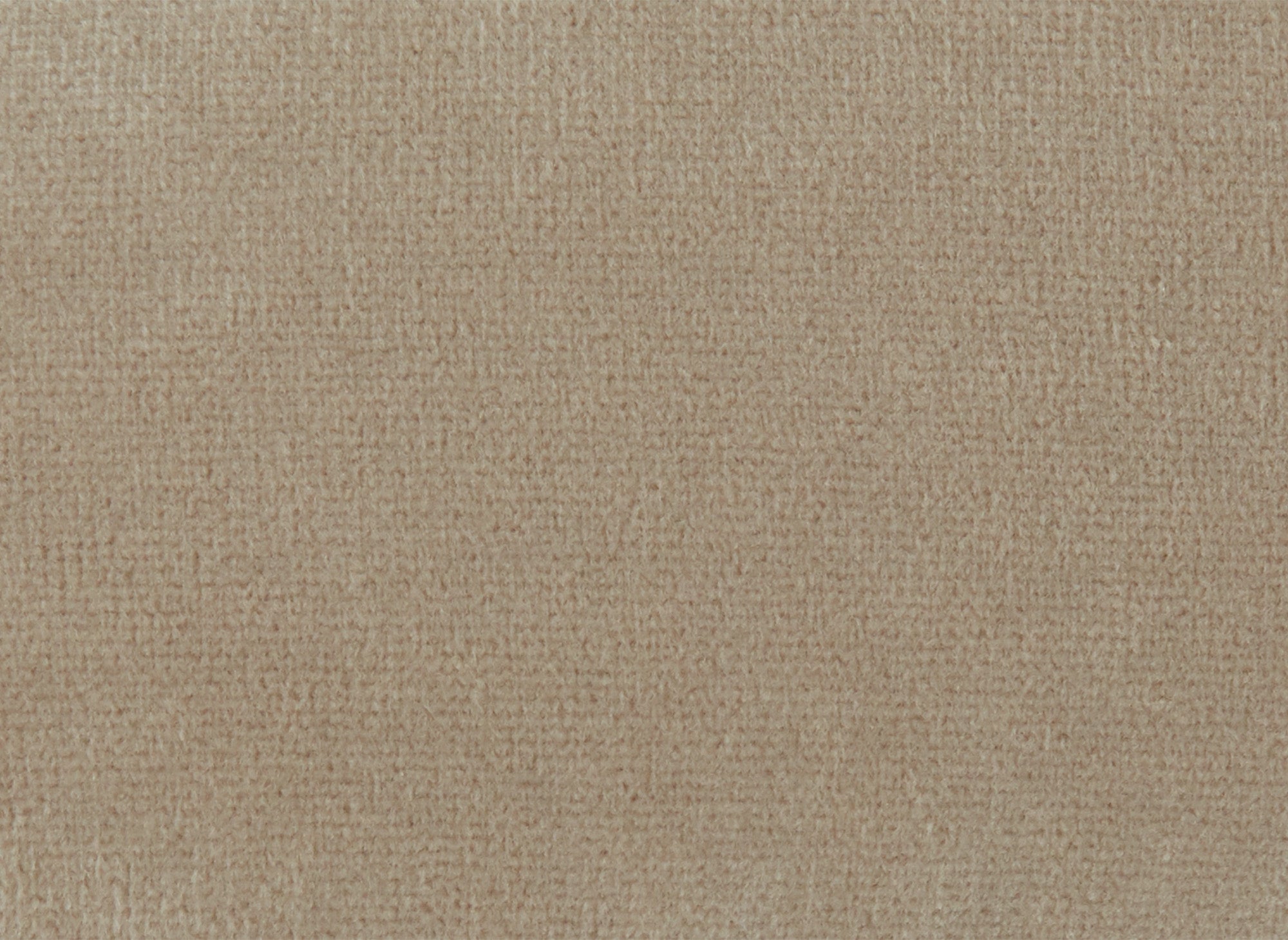 Fauteuil capitonné chesterfield velours beige CARMEN